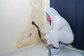 Best Crawl Space Mold Remediation  in Lowry Crossing, TX